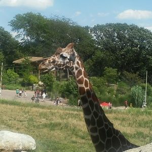 Meet your Posher, C j